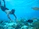 Smiling young woman in scuba gear underwater with vibrant coral background