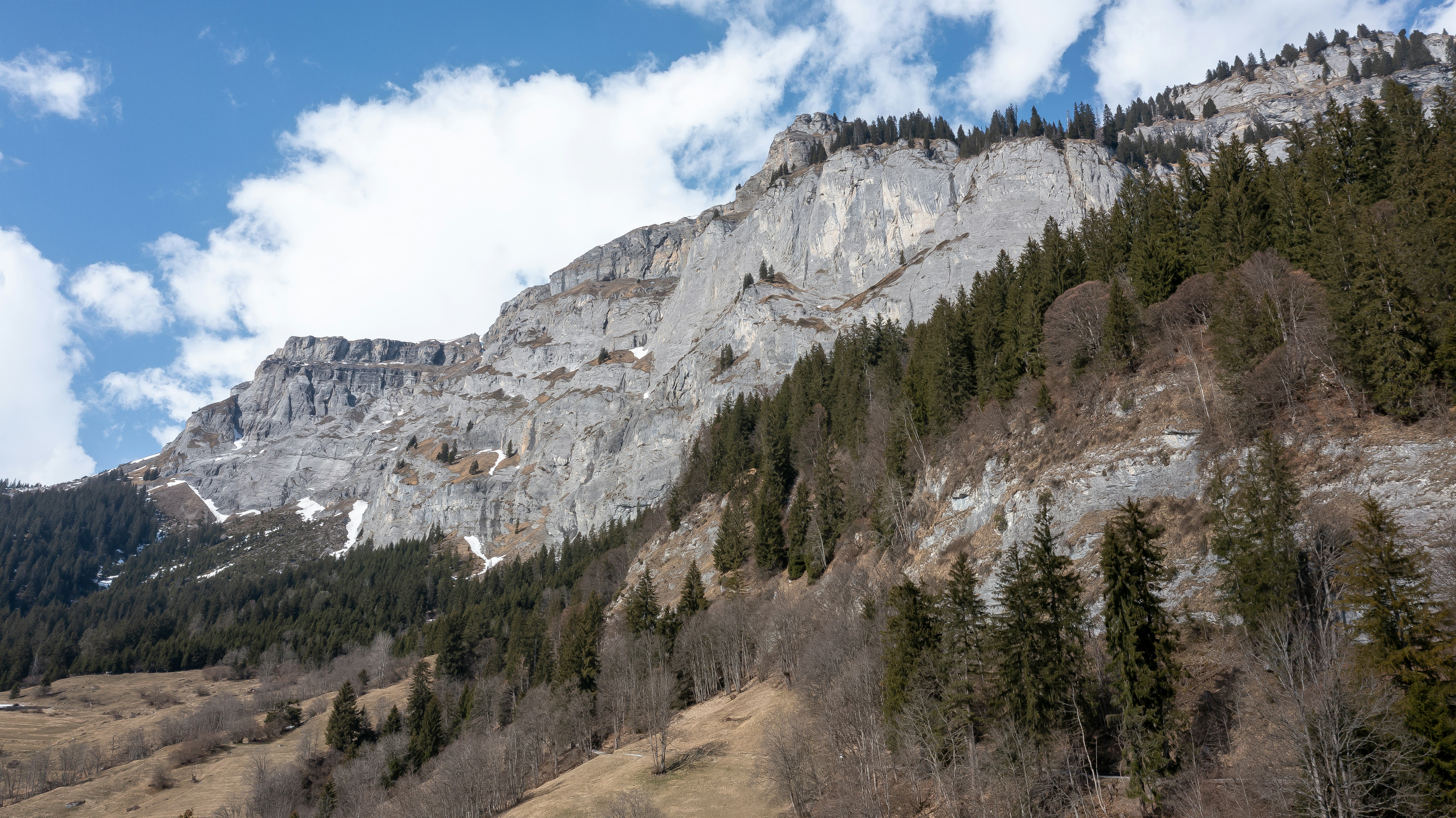 Photo by janick_pixel