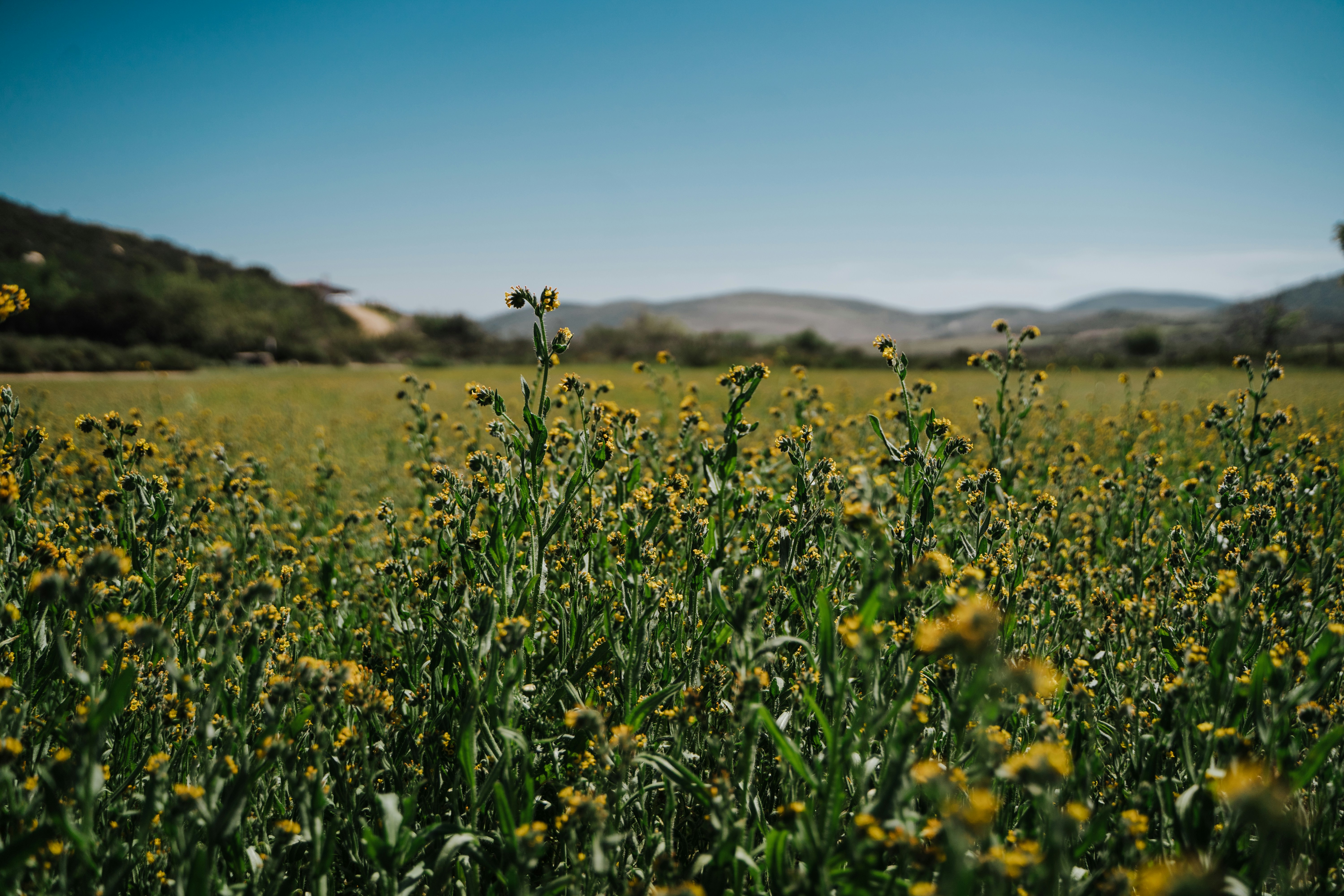 Photo by josuemichelphotography