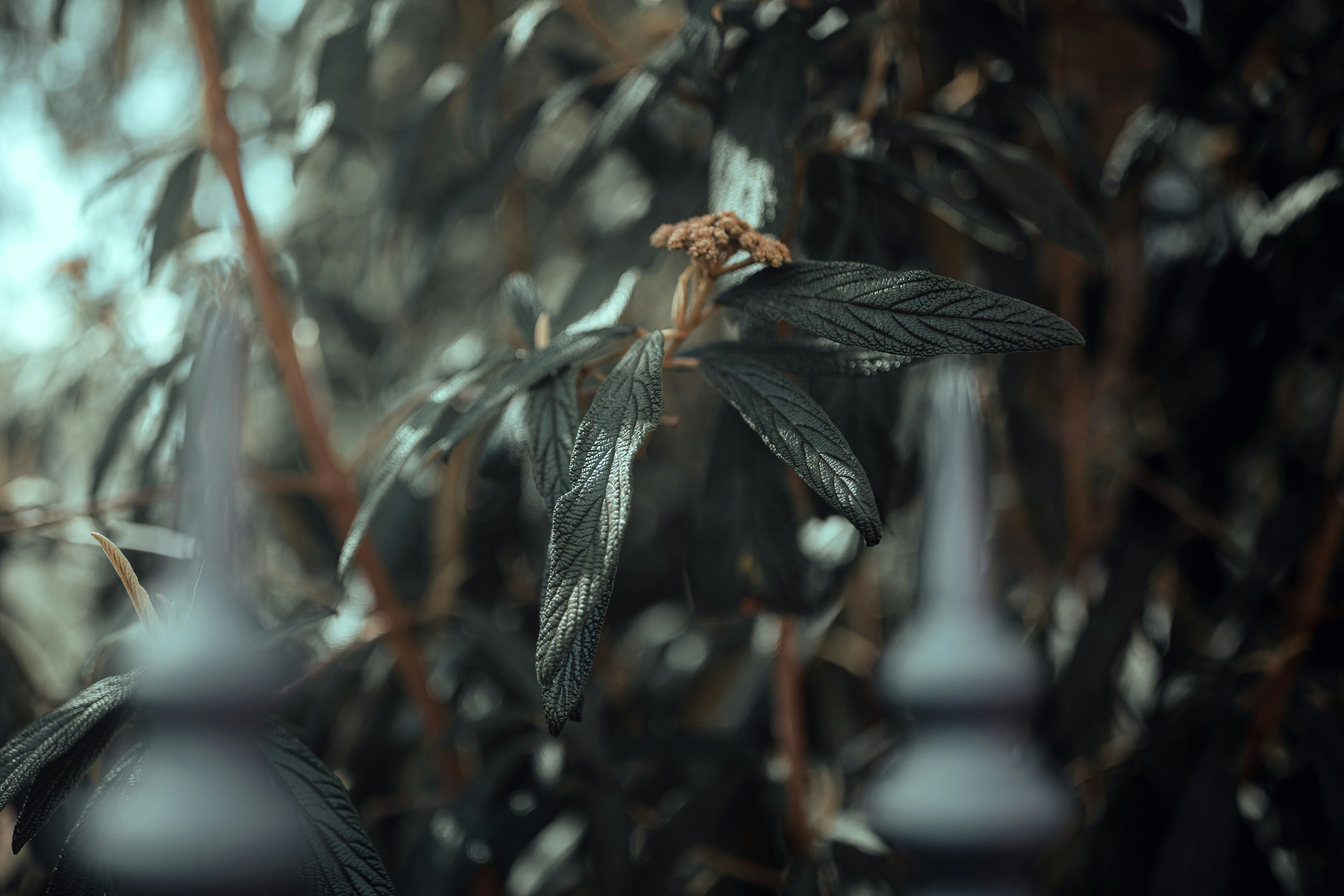 Photo by adamneumann