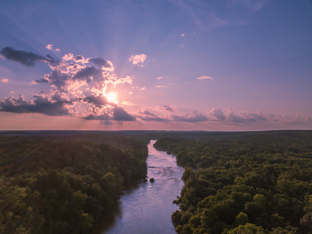 green trees near river under blue sky during daytime