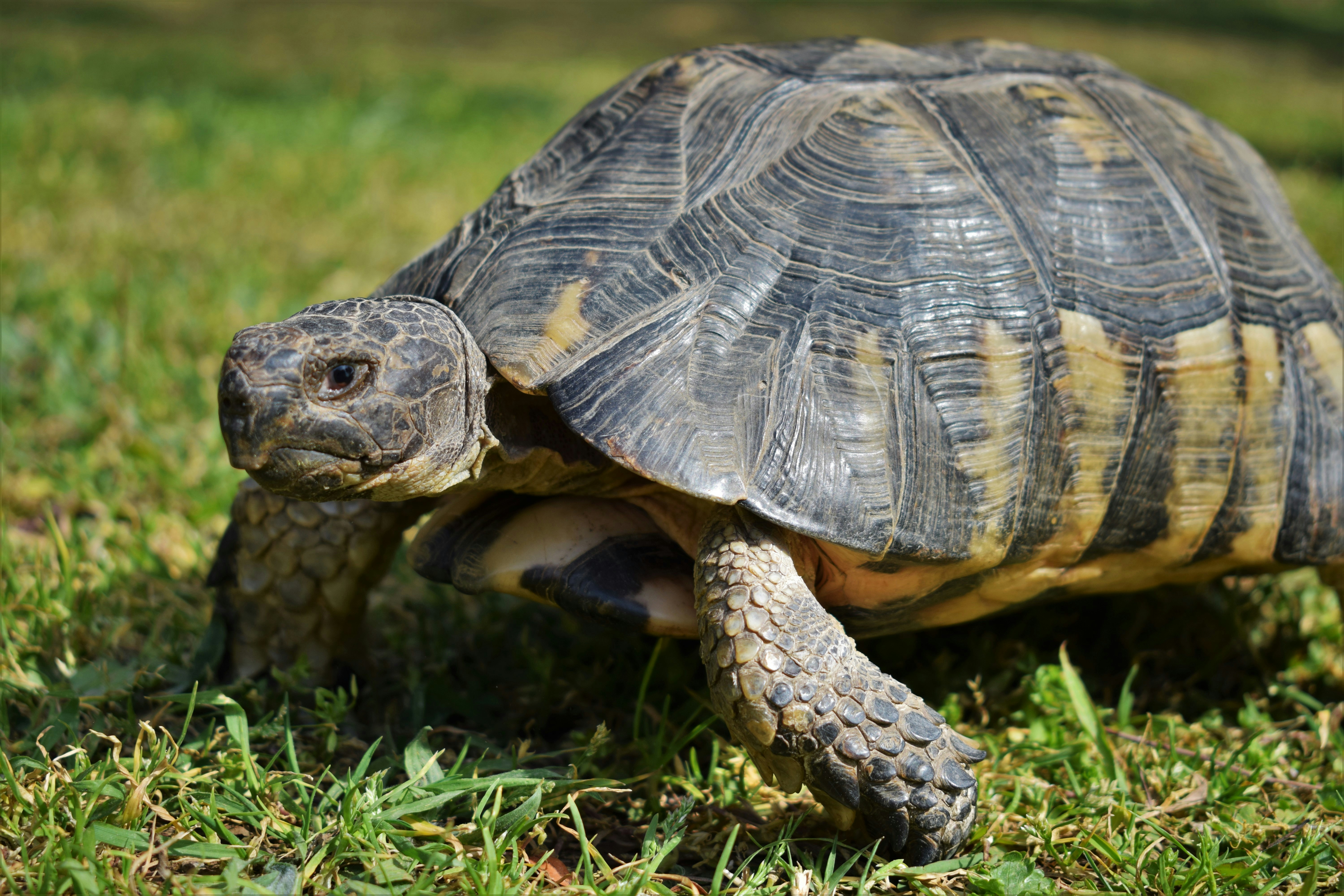 Photo by irene__papa