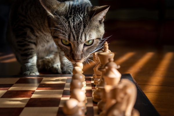 a striped cat looking at a row of pawns on a chessboard