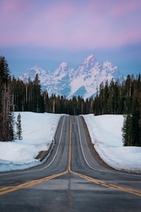 black asphalt road in between snow covered ground and trees during daytime