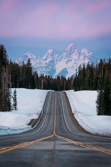 black asphalt road in between snow covered ground and trees during daytime