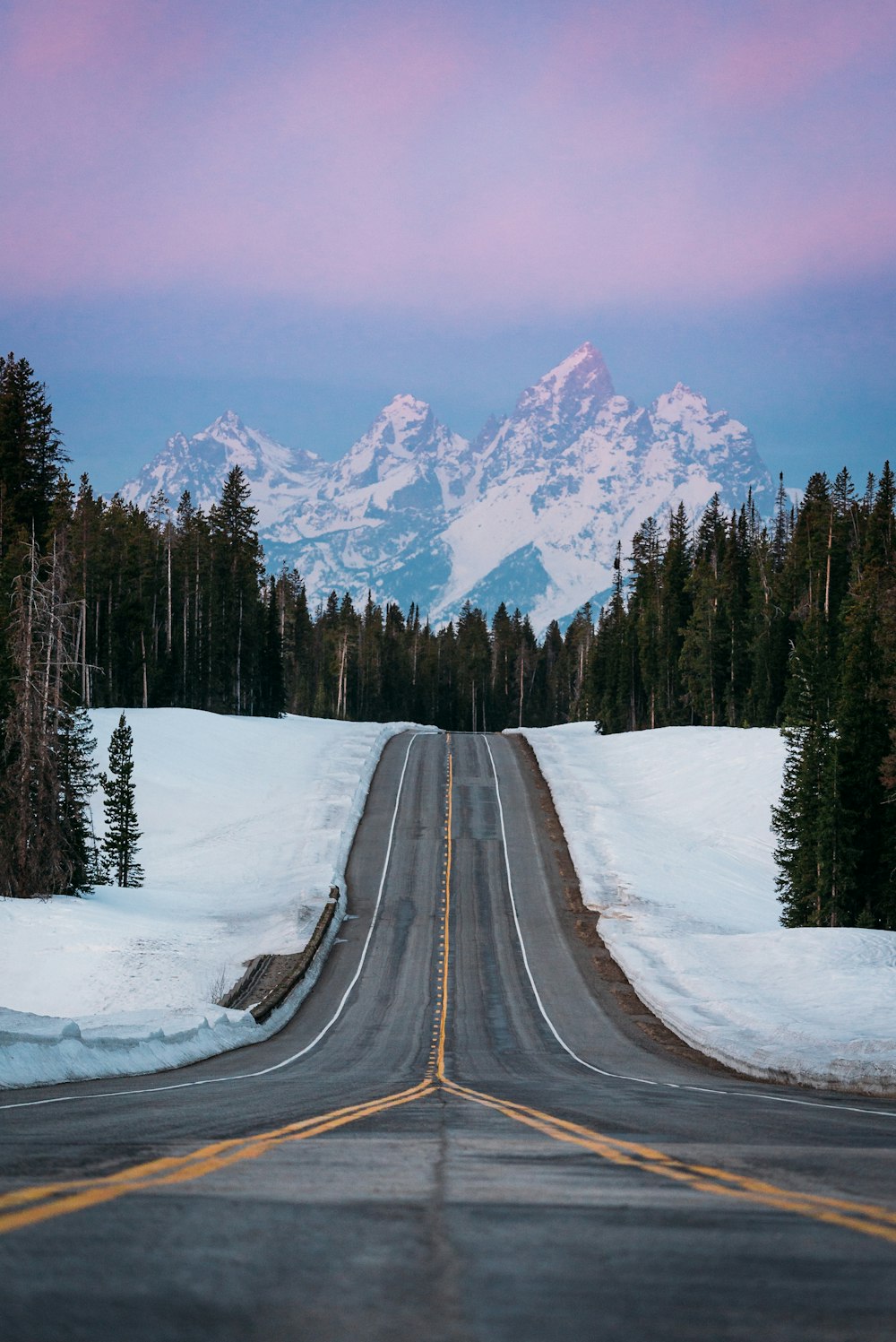 black asphalt road in between snow covered ground and trees during daytime