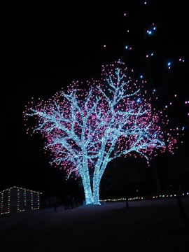 Festive holiday lights glowing against a navy blue sky.