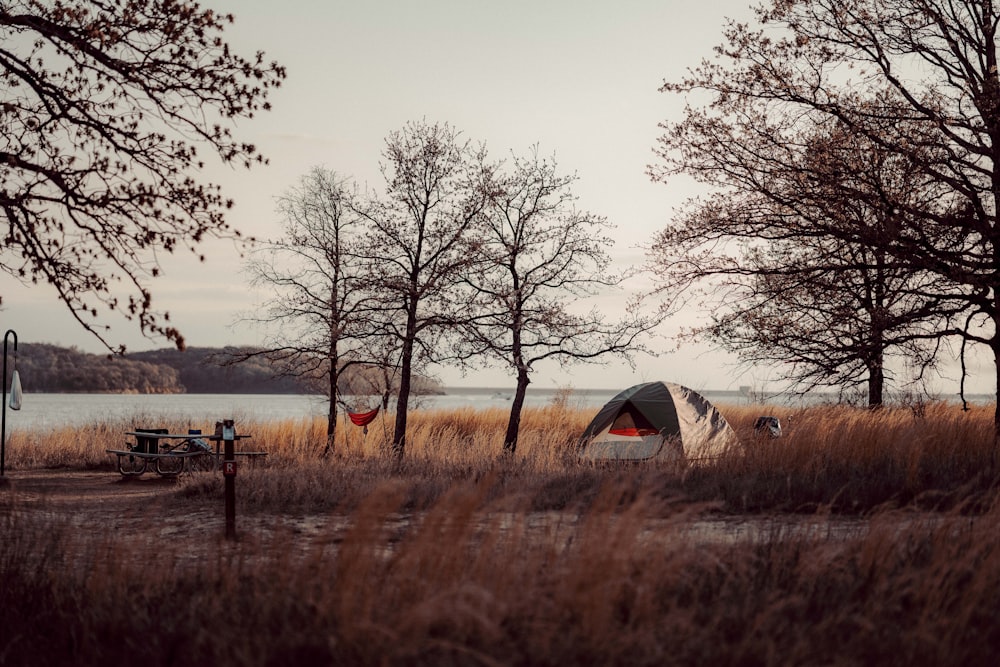 yellow tent on brown grass field near bare trees during daytime