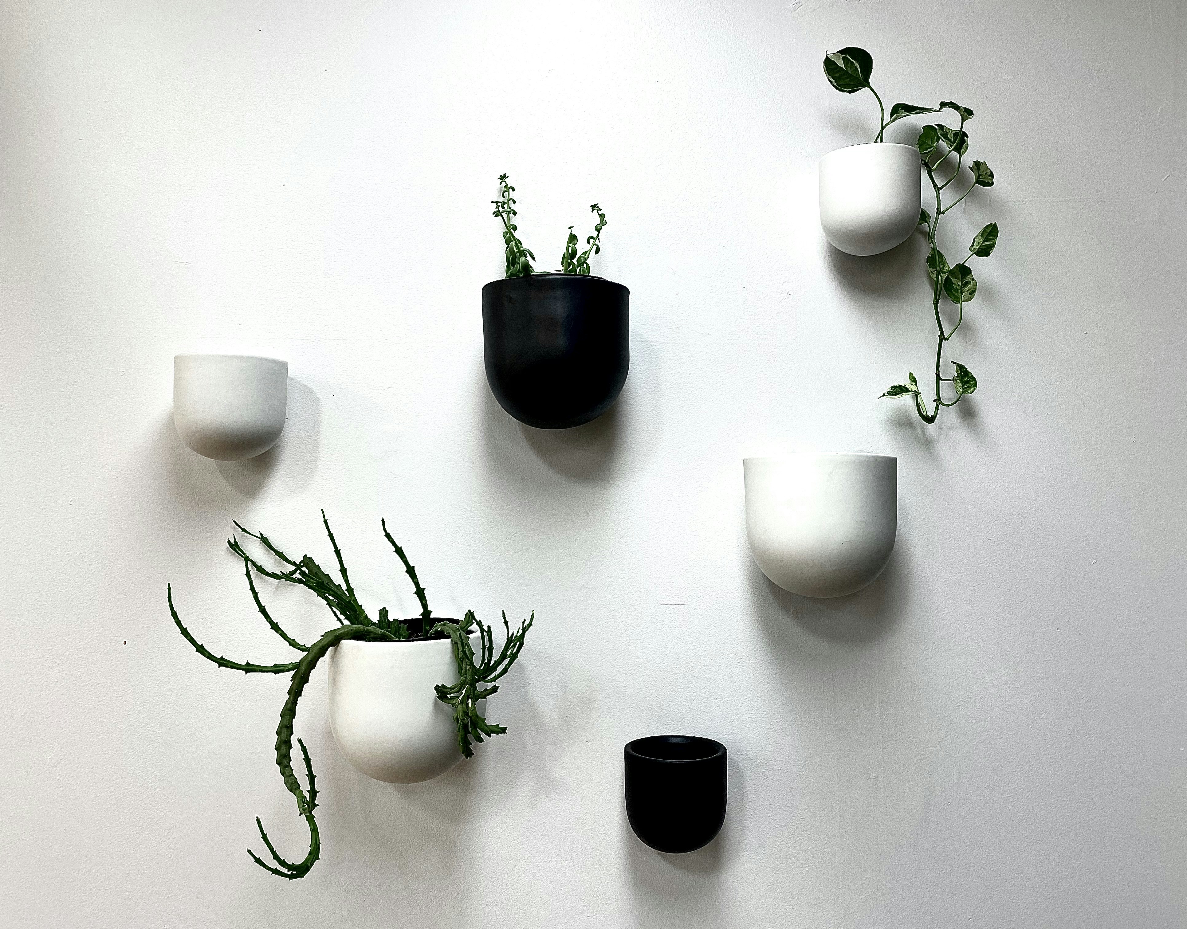 Minimalist Metal Grid With Small Hanging Pots And Trailing Plants