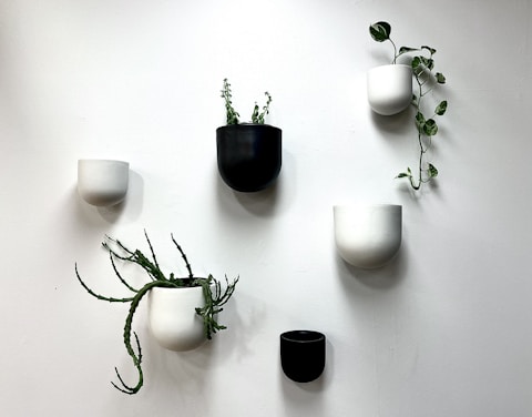 wall planters