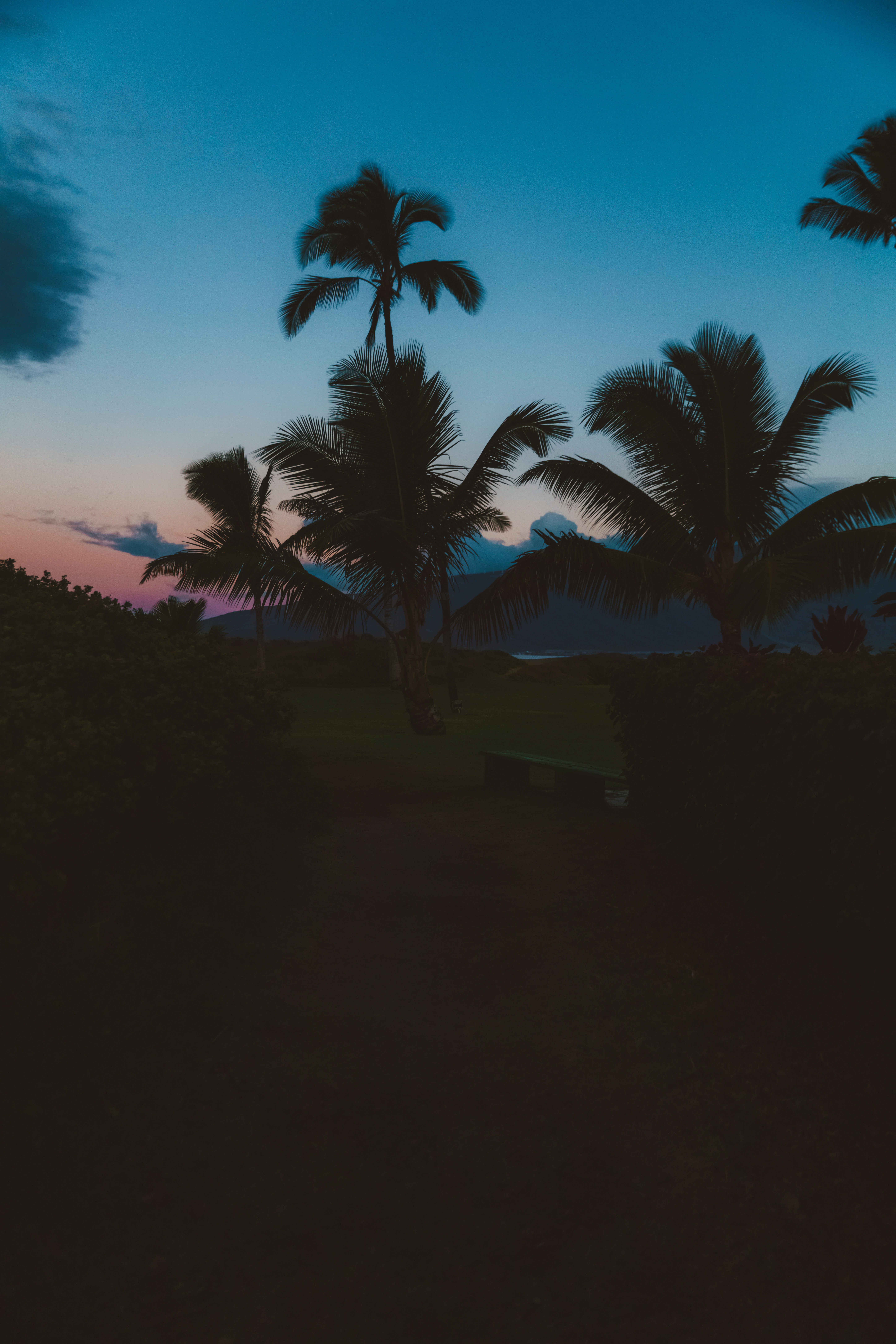 Photo by worldsbetweenlines