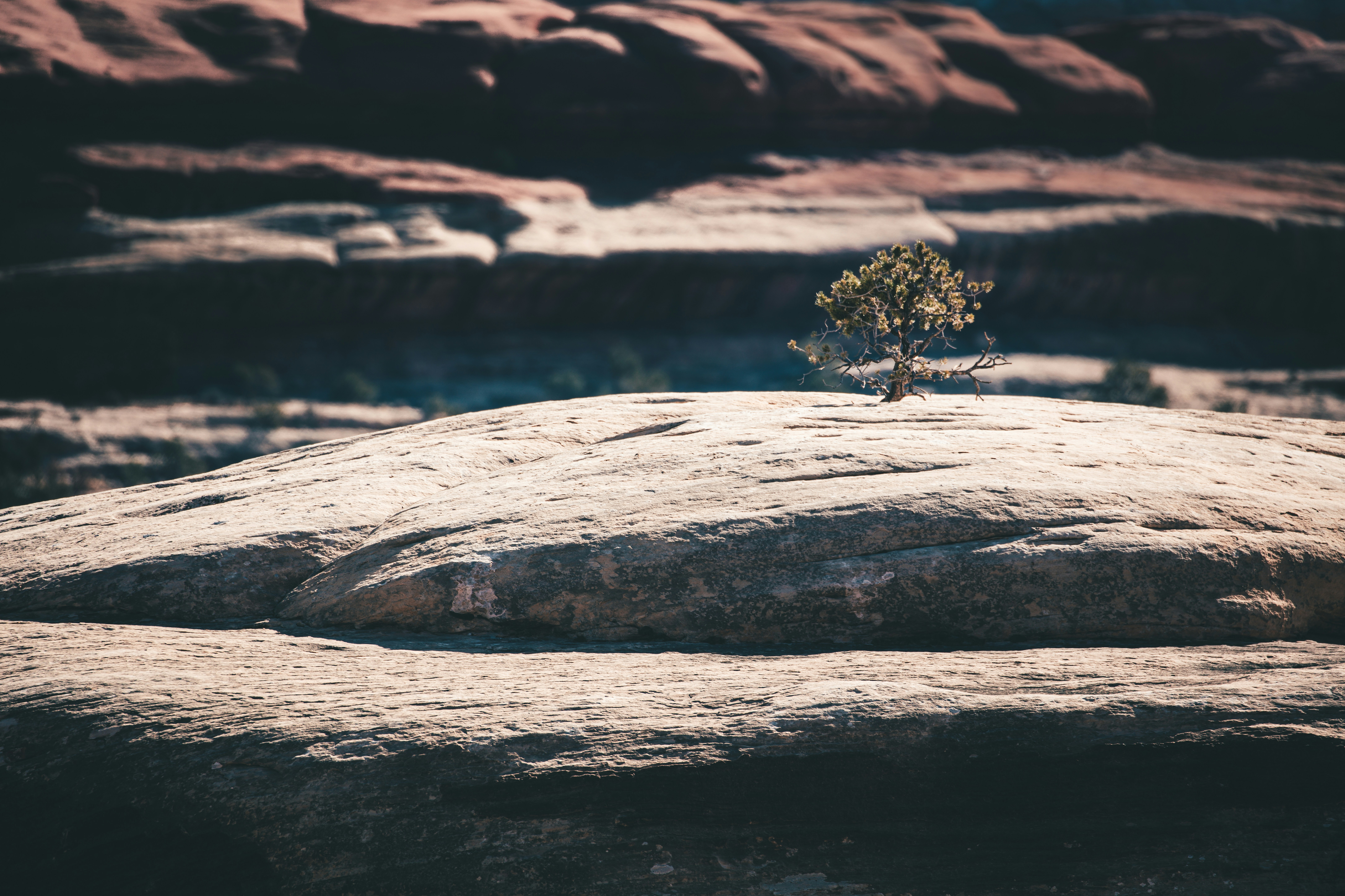 Photo by worldsbetweenlines