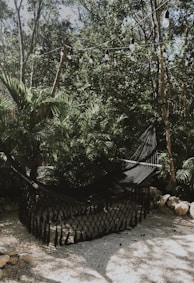 green banana tree near brown wooden fence