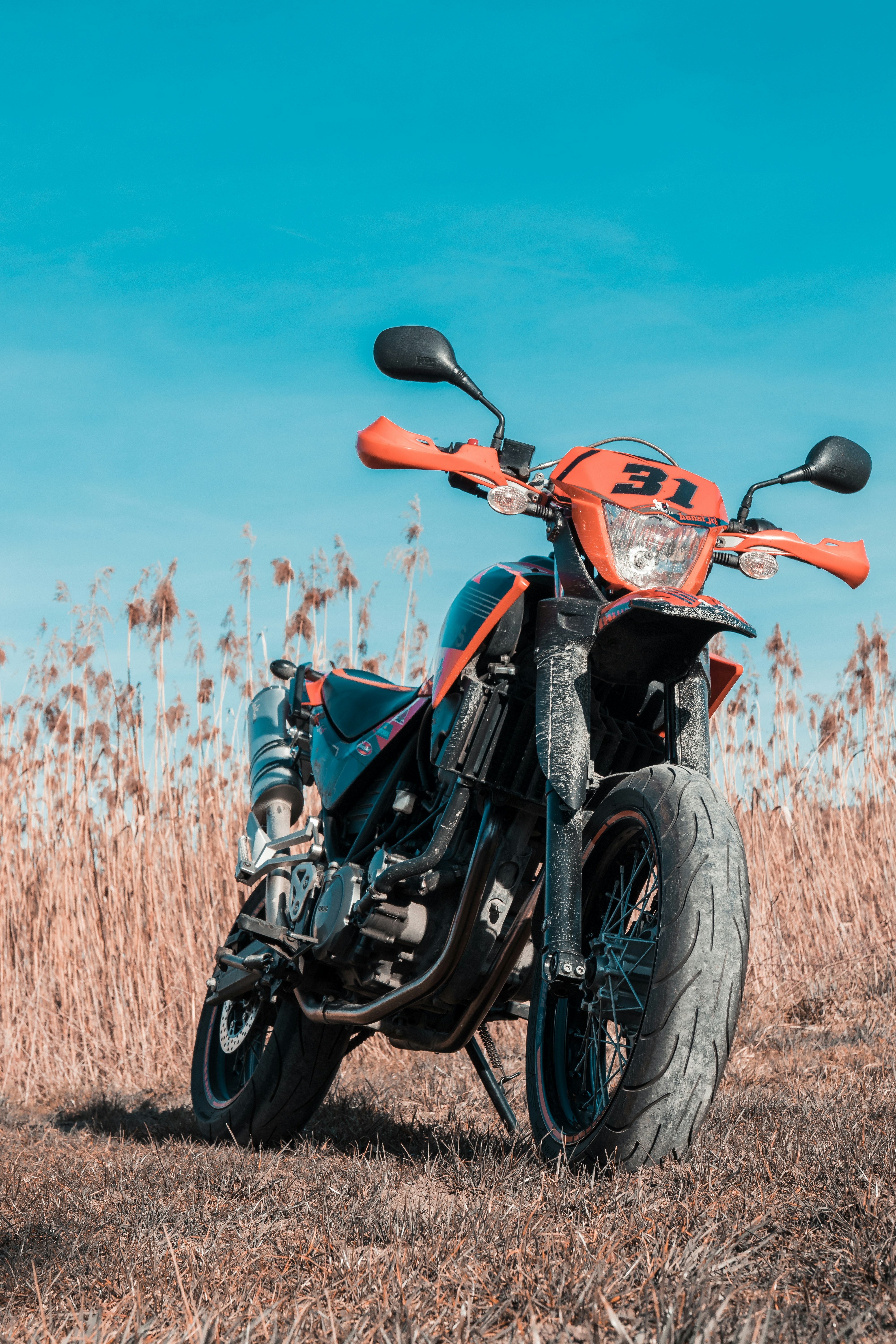 Photo by solbrigkevin