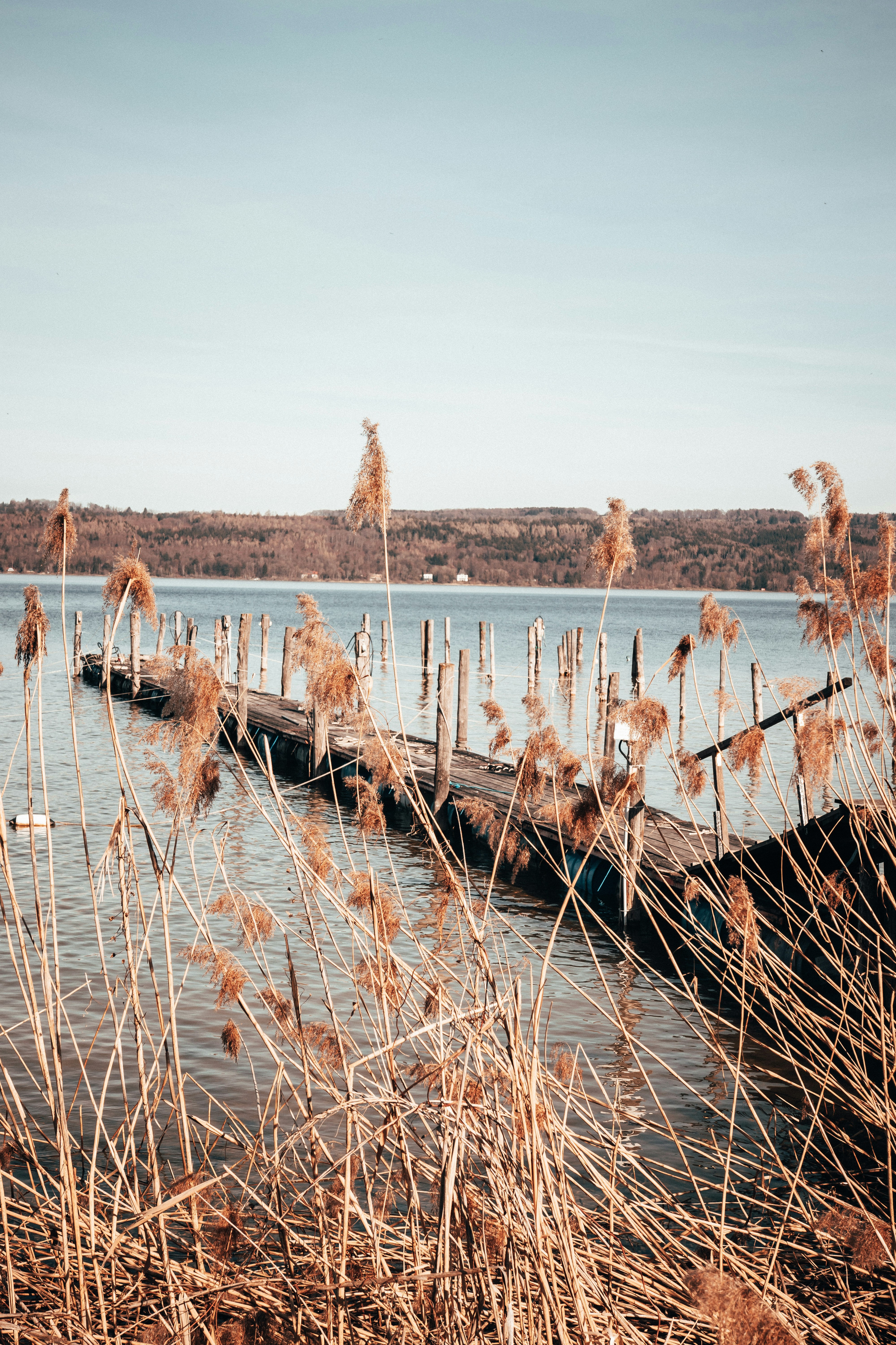 Photo by solbrigkevin