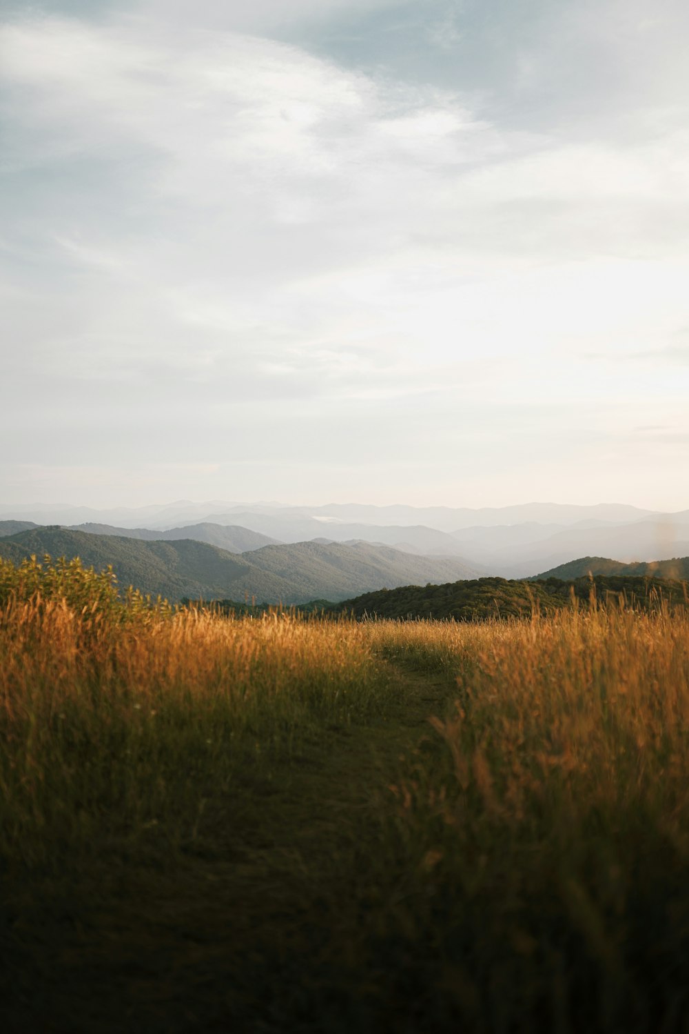 brown grass field near mountains during daytime