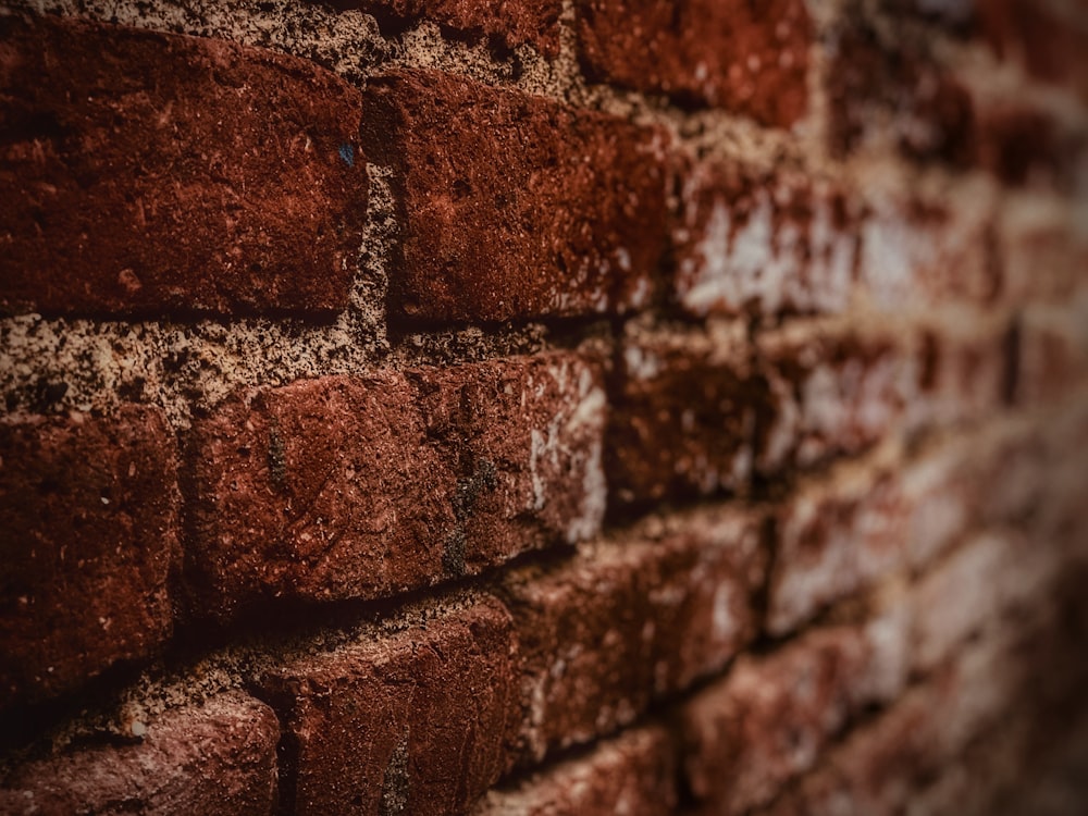 brown and white brick wall