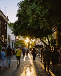 people walking on street during night time
