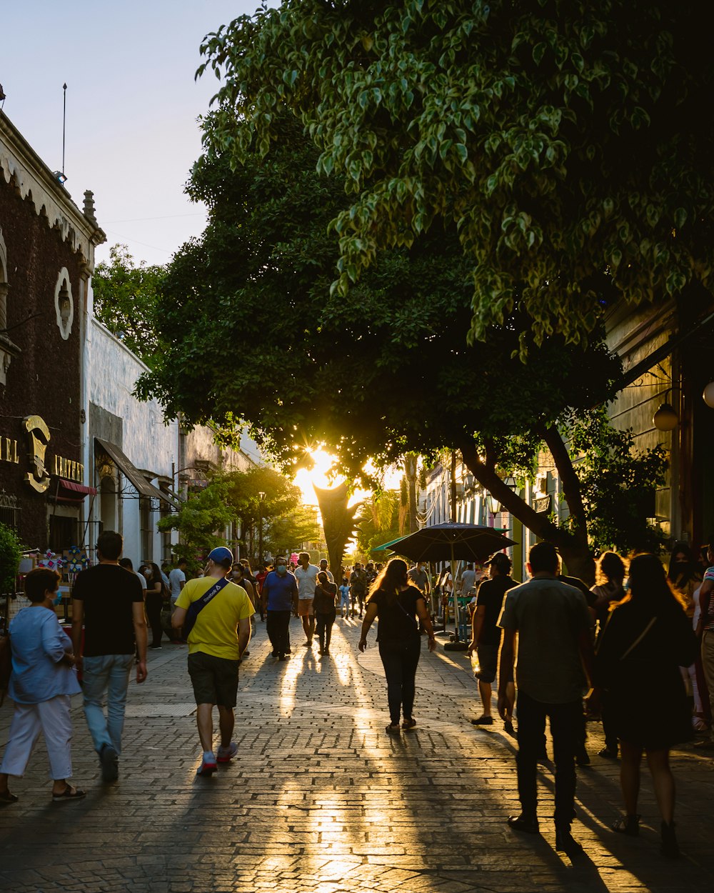 people walking on street during night time