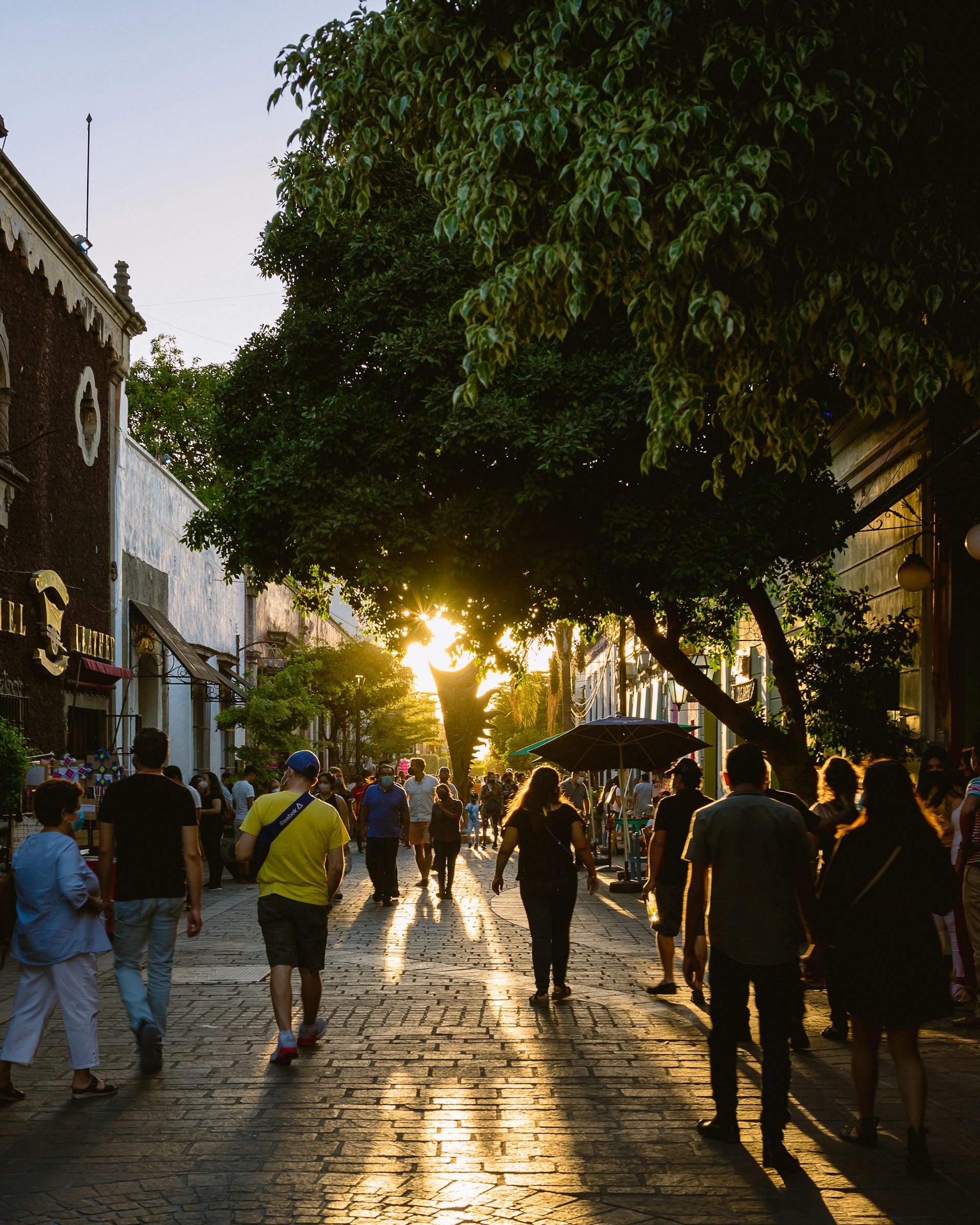 people walking on street during night time