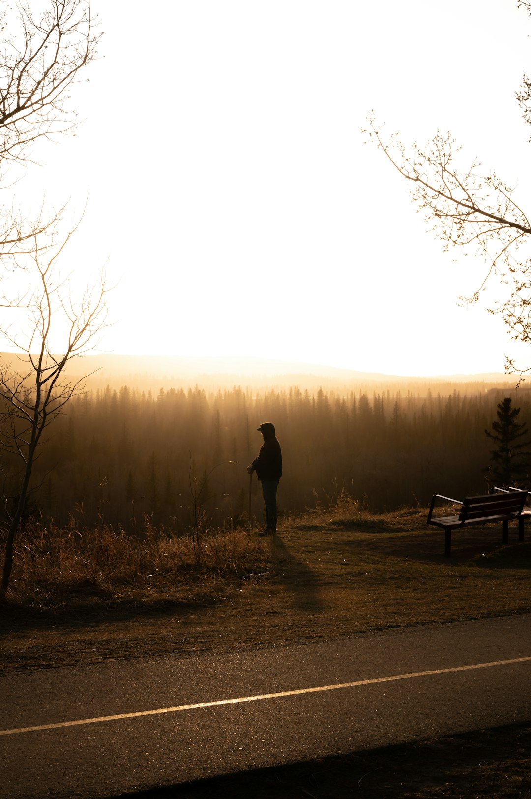 silhouette of person standing on pathway during daytime