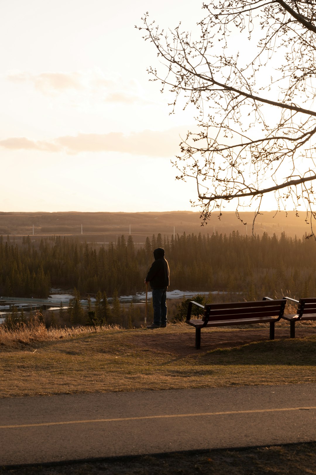 person standing on brown wooden bench near body of water during sunset