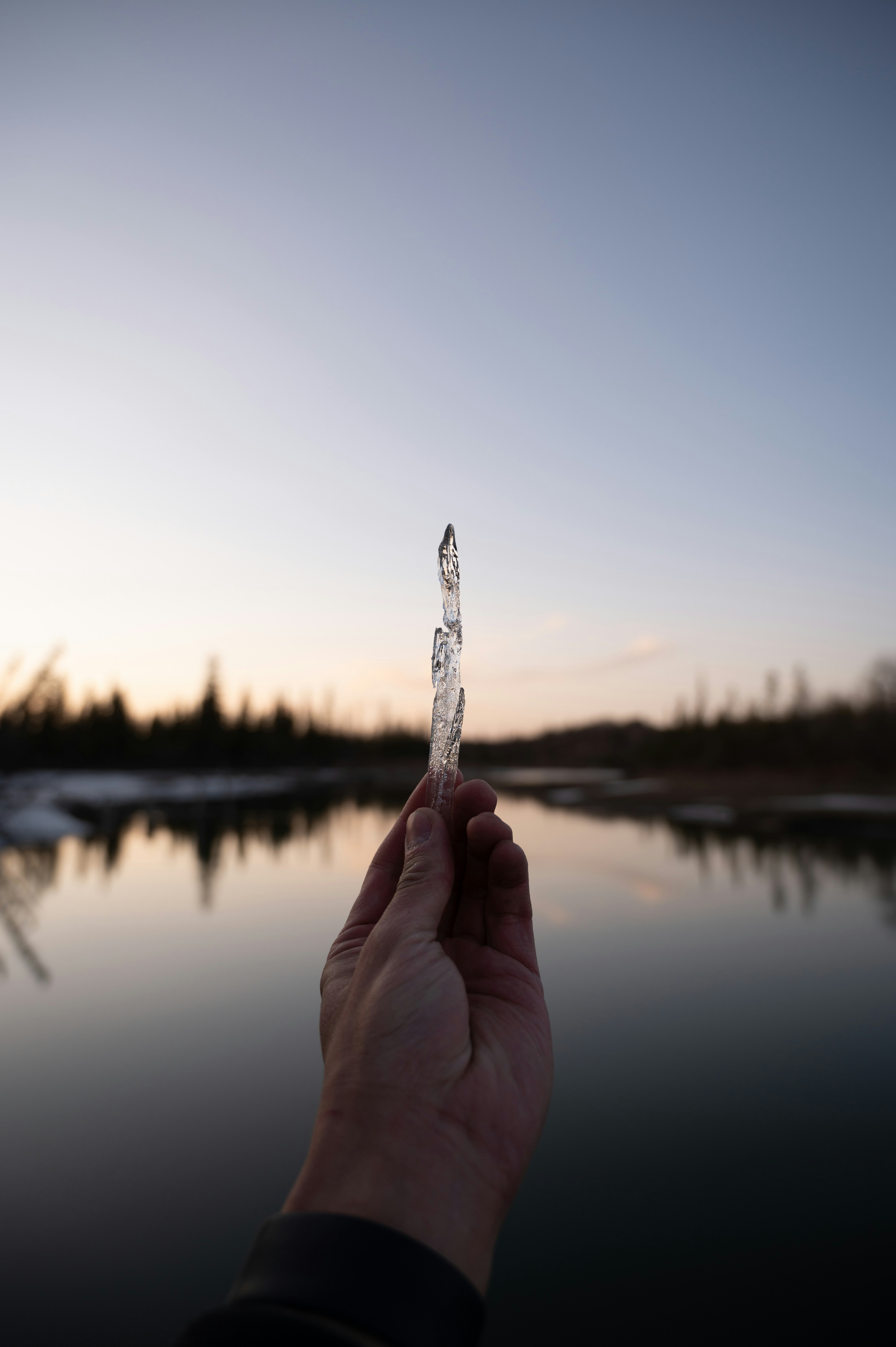 person holding white snow on tree branch during daytime