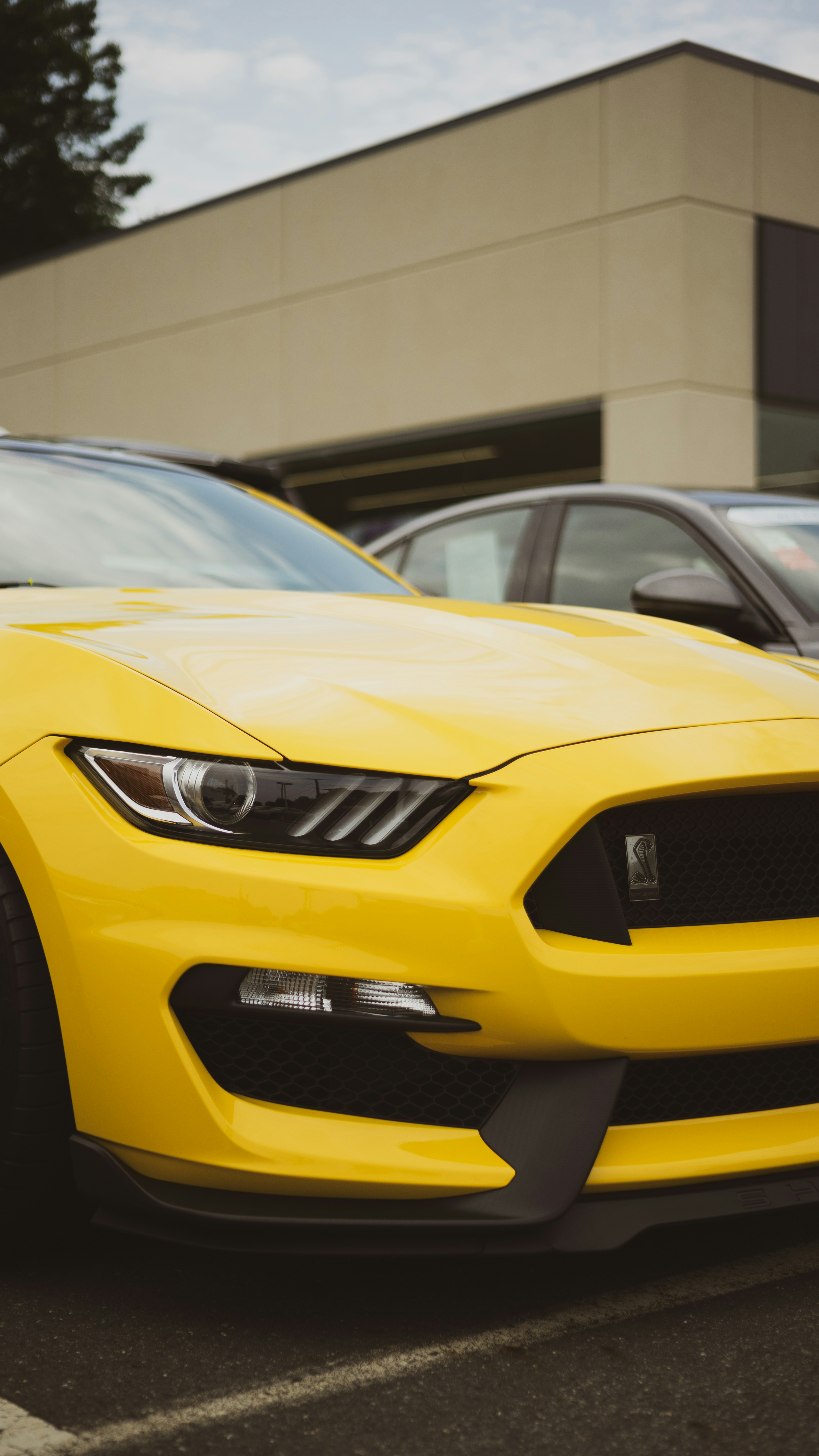 Thomas Edison apprenticeship