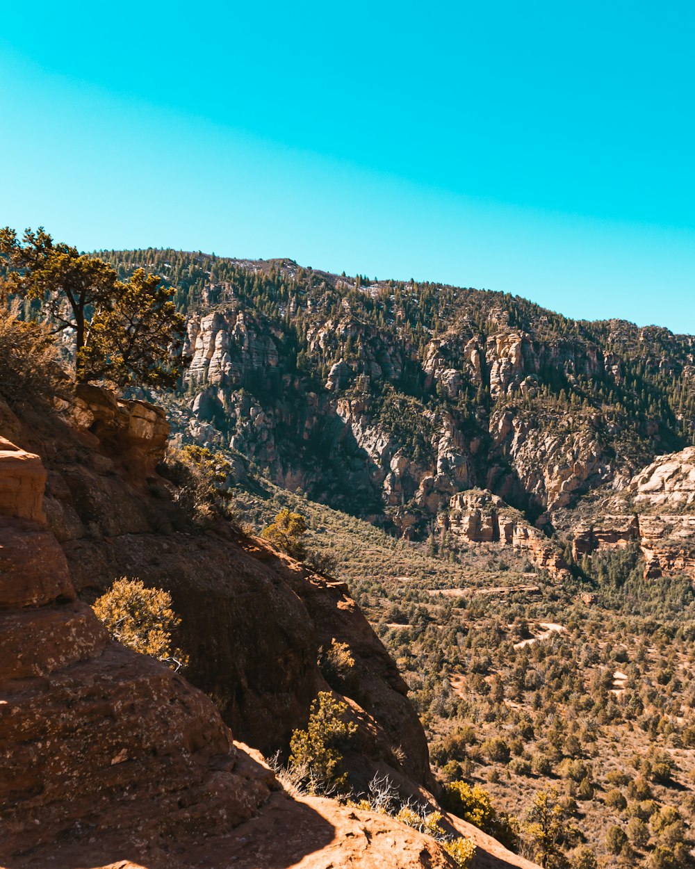 green trees on rocky mountain under blue sky during daytime