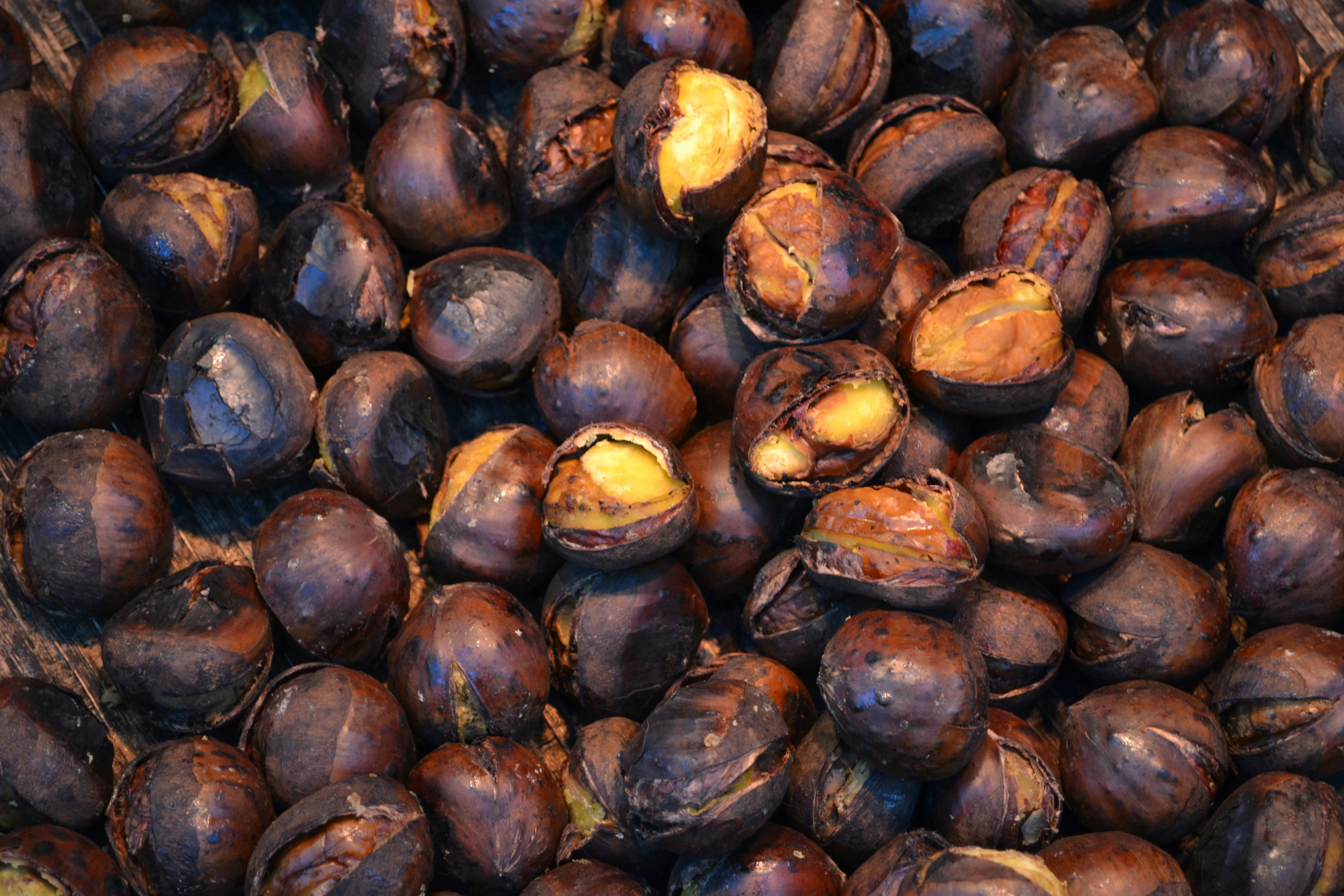 Japan | 39 best free japan, travel, tokyo and tourist photos on Unsplash