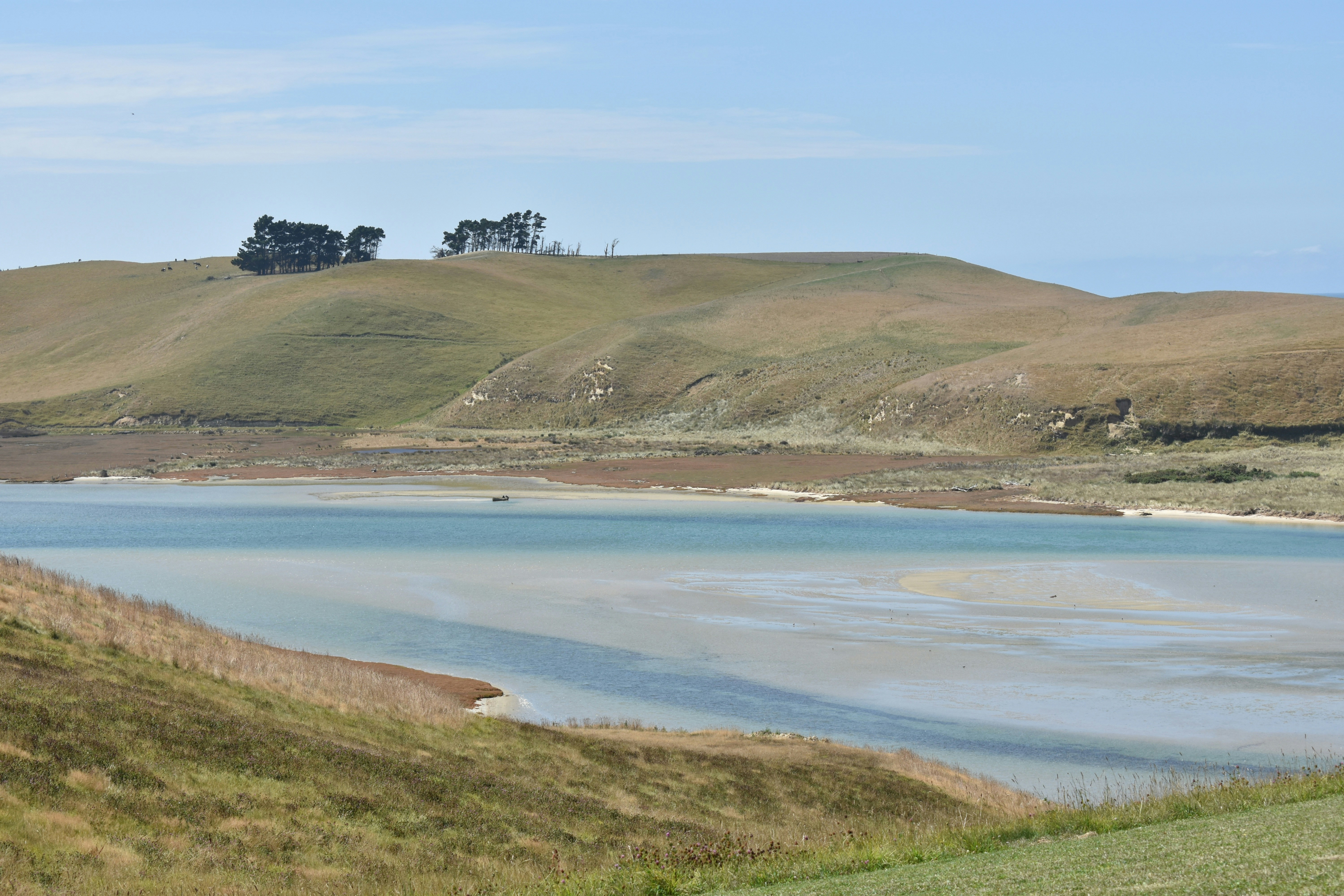 green grass field near body of water during daytime