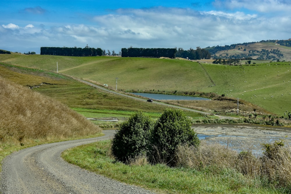 green grass field near body of water under blue sky during daytime