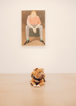 A dog with a harness lies on a light-colored floor in front of a painting. The painting depicts a person seated with their elbows resting on their knees.