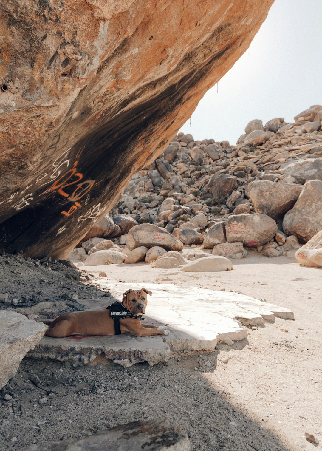 man in black shorts sitting on rock near brown rock formation during daytime