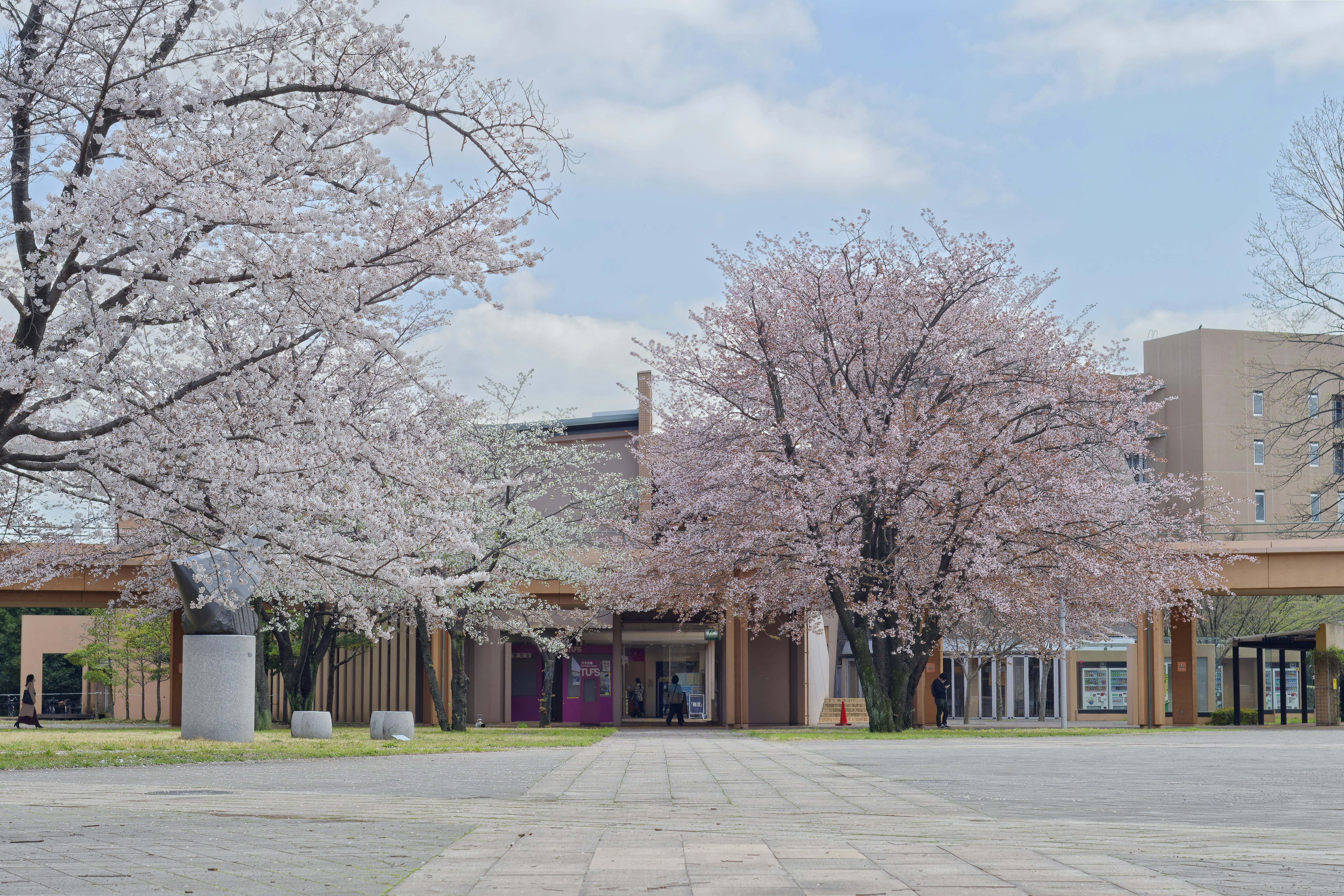 Fuchu Explored: Where Racing Thrills Meet Cultural Tranquility
