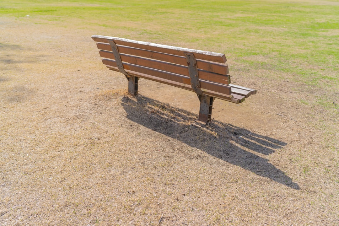 brown wooden bench on brown field during daytime