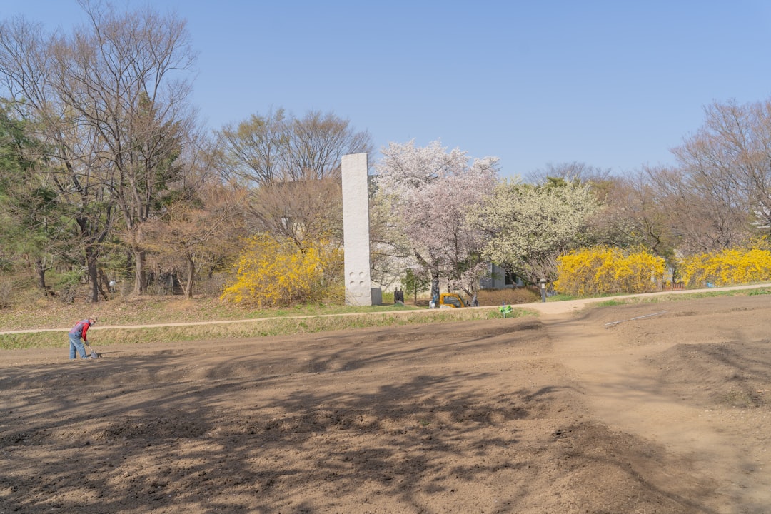 white concrete monument near green trees during daytime