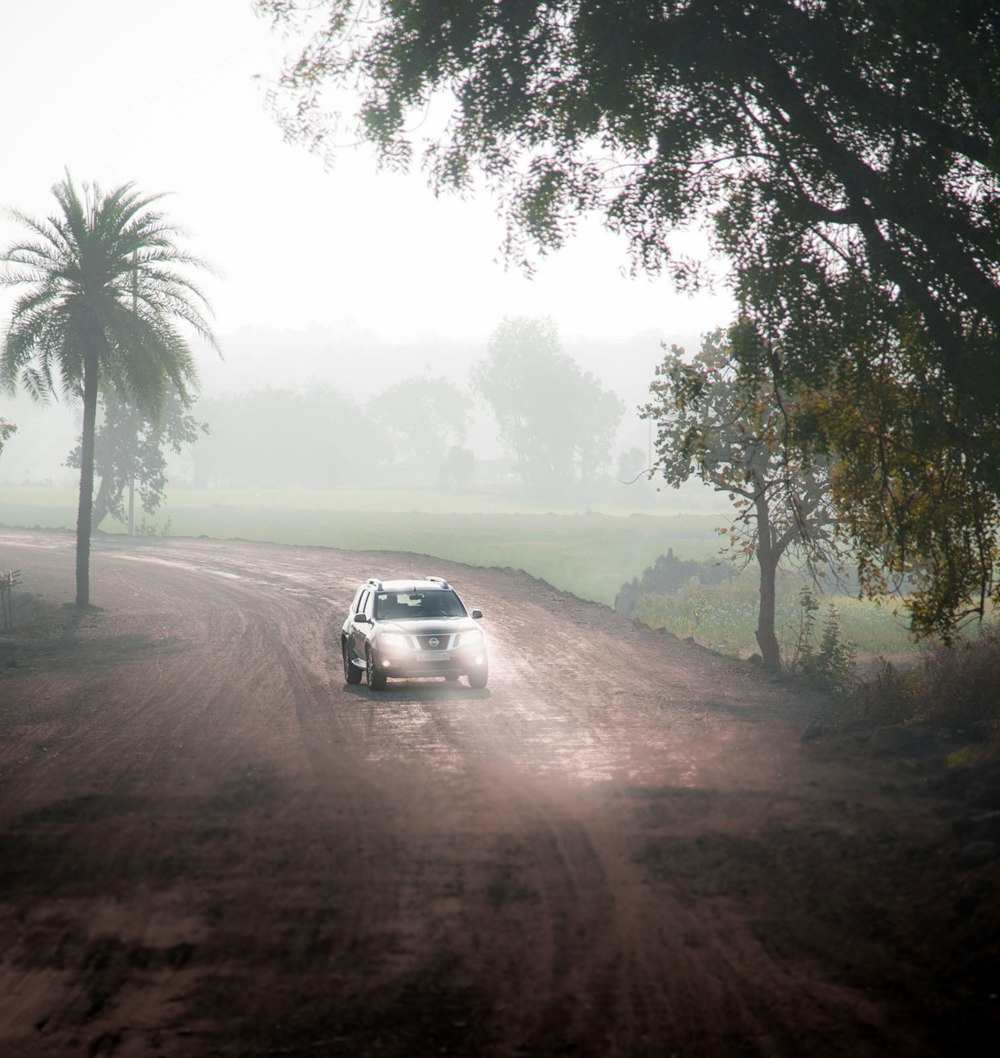 white suv on dirt road near green trees during daytime