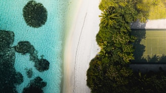 An aerial view of a tropical beach setting with turquoise water, a sandy shoreline, and dense green vegetation. To the right, a tennis court is partially covered by trees, adding a hint of human presence to the otherwise natural landscape.