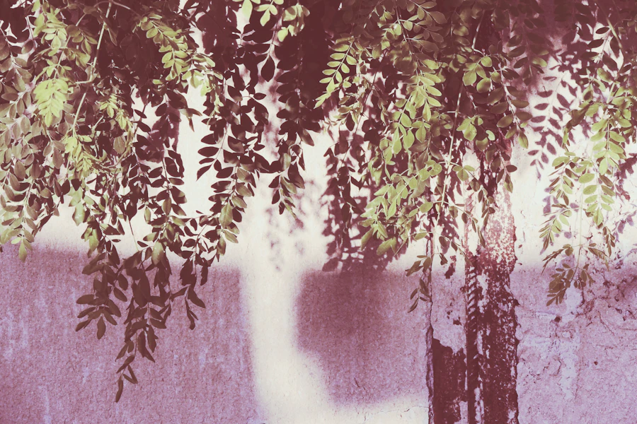 Moringa from India: Why India Is a Major Global Supplier