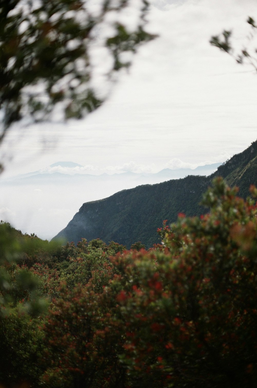 green mountain under white sky during daytime