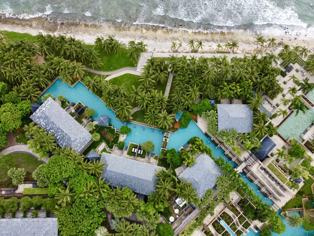 aerial view of swimming pool surrounded by green trees during daytime