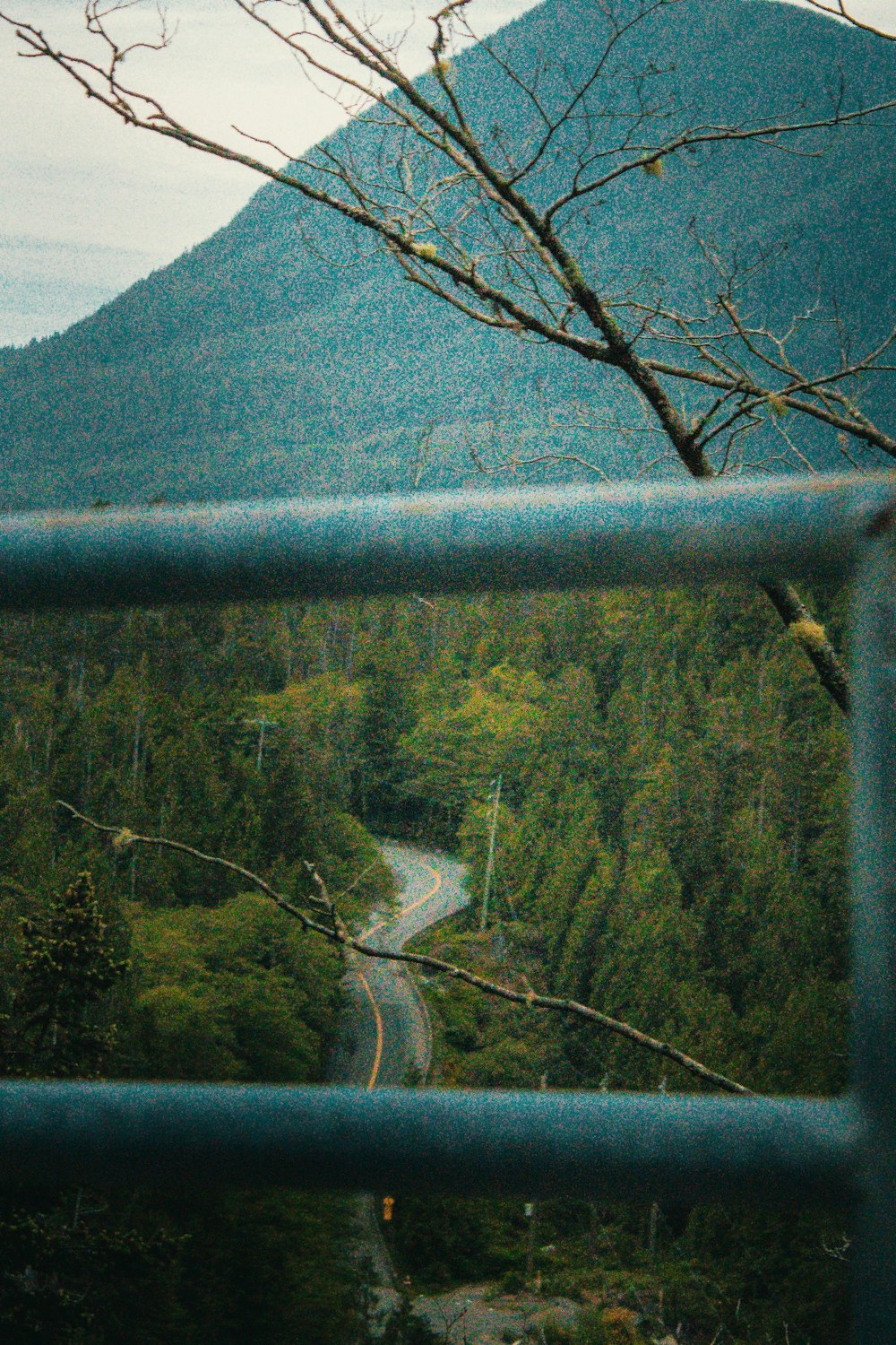 green trees near mountain during daytime