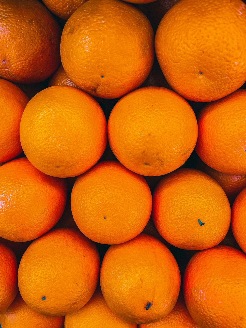 close up photo of orange fruits