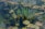 A serene aquatic scene featuring vibrant green aquatic plants emerging from clear water. The water's surface is covered with patches of algae and various types of vegetation, including lily pads. Some submerged branches and debris are also visible.