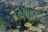 A serene aquatic scene featuring vibrant green aquatic plants emerging from clear water. The water's surface is covered with patches of algae and various types of vegetation, including lily pads. Some submerged branches and debris are also visible.
