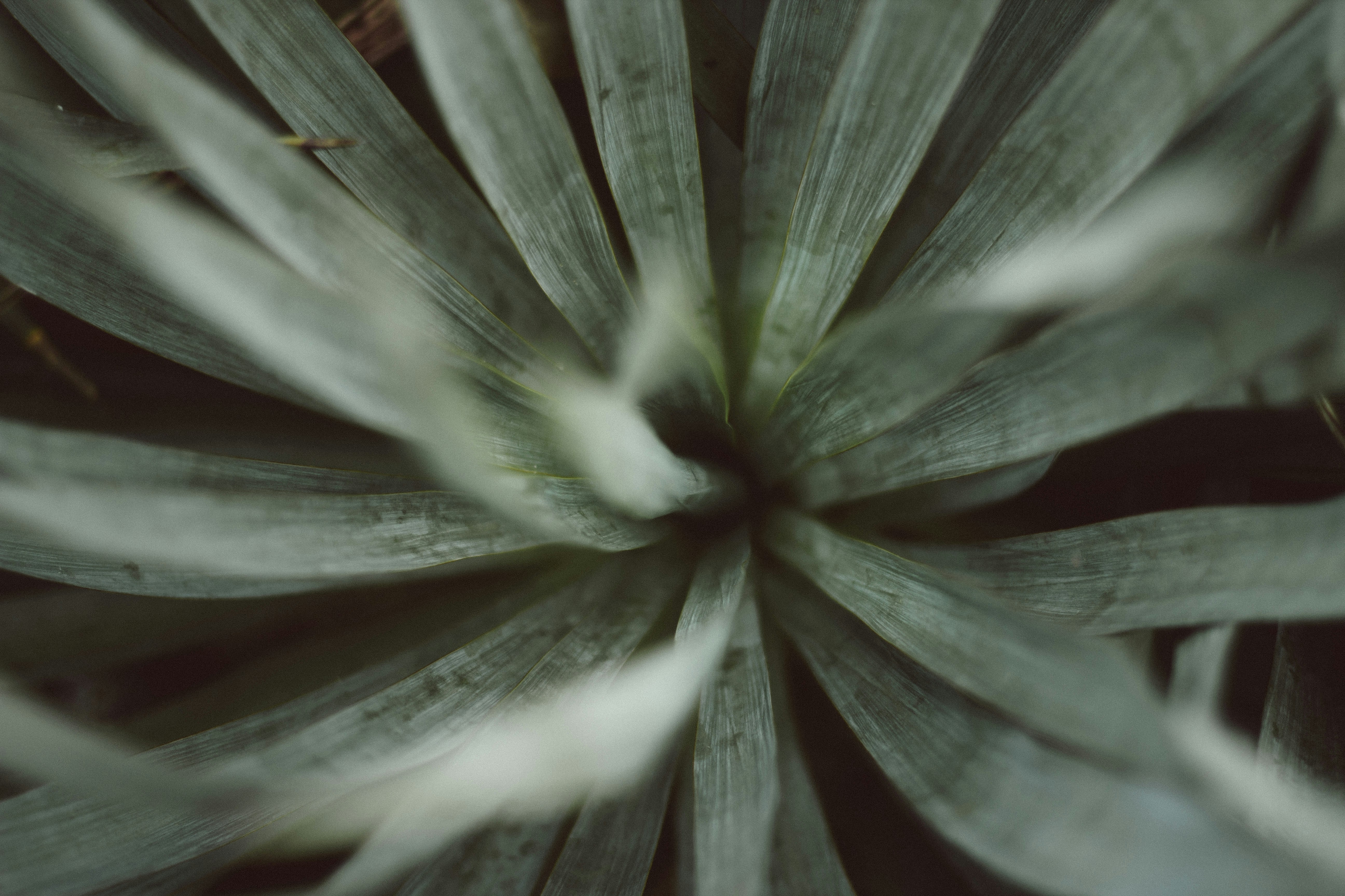 Photo by studiofuendo