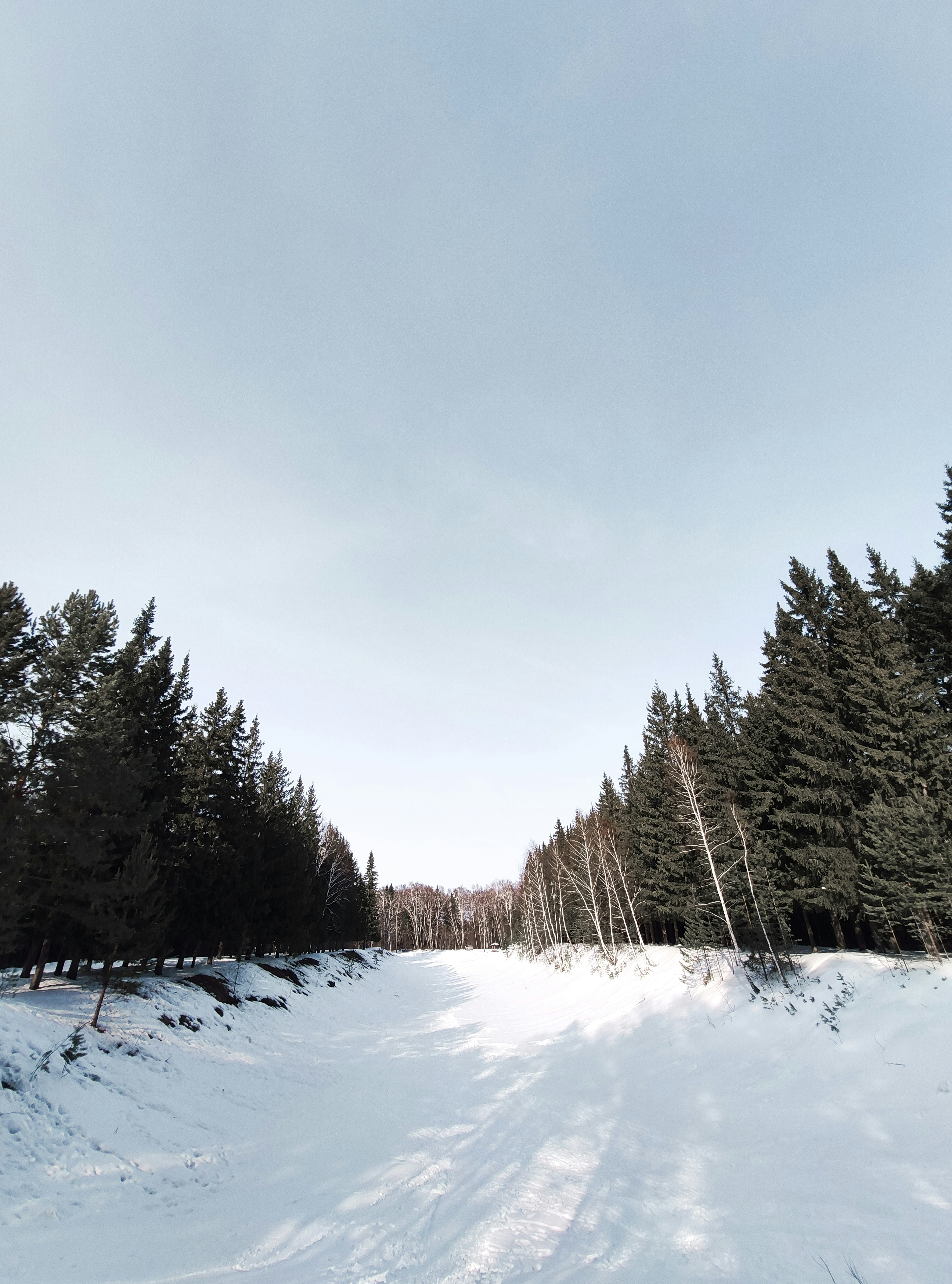 Photo by gymennyi
