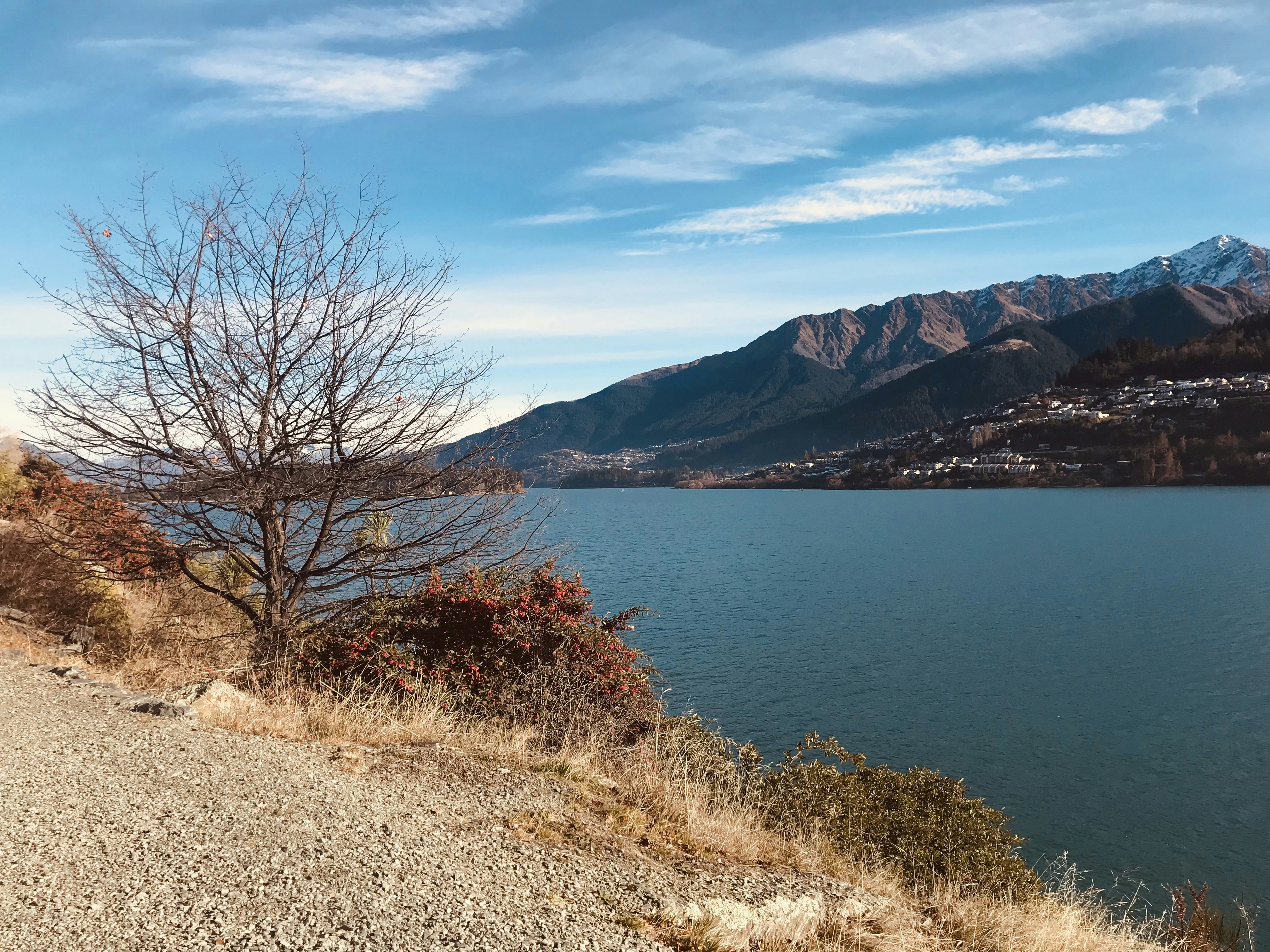 Photo by onemoretale