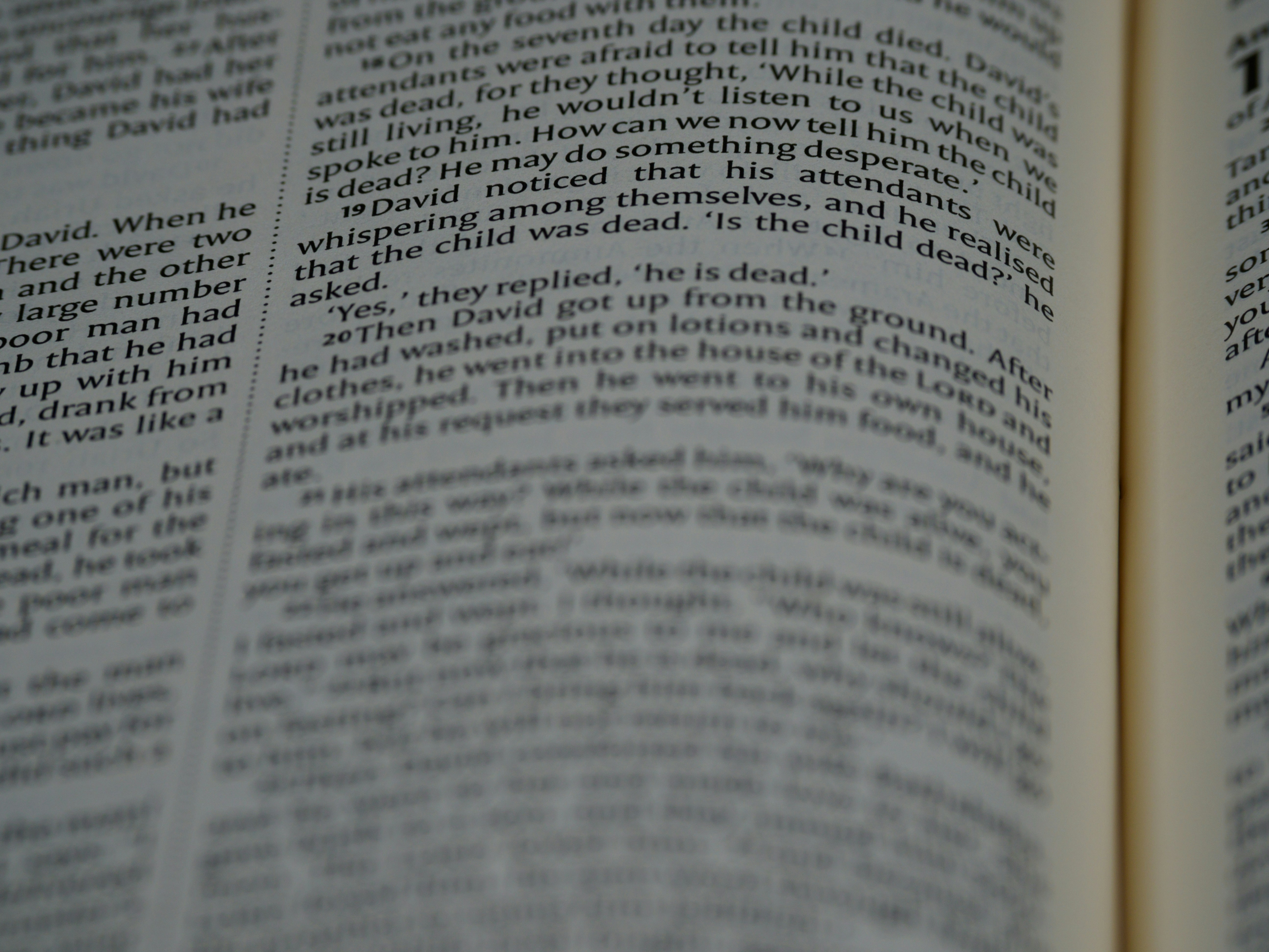 Photo by brett_jordan